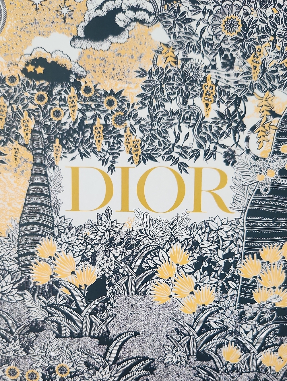 Dior Box - Picture 5 of 5